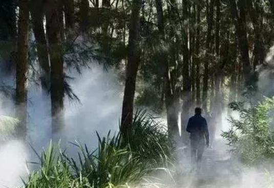 人工霧景，打造網紅景觀的方向