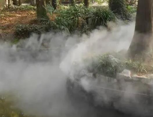 炎熱夏季，人造霧可以帶給人們不一樣的體驗